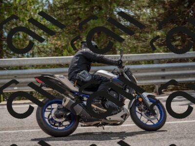 202508231458-DSC_7295_c4_