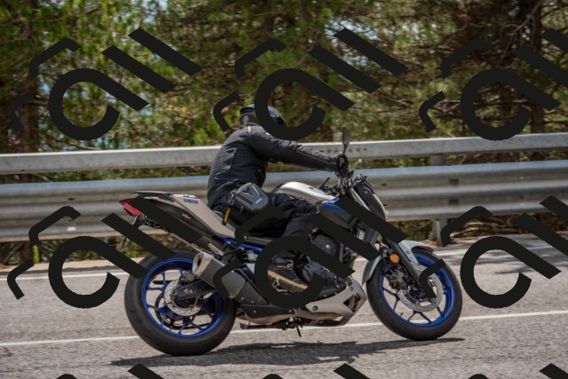 202508231458-DSC_7295_c4_