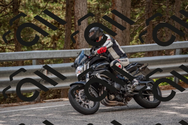 202508231500-DSC_7298_c4_