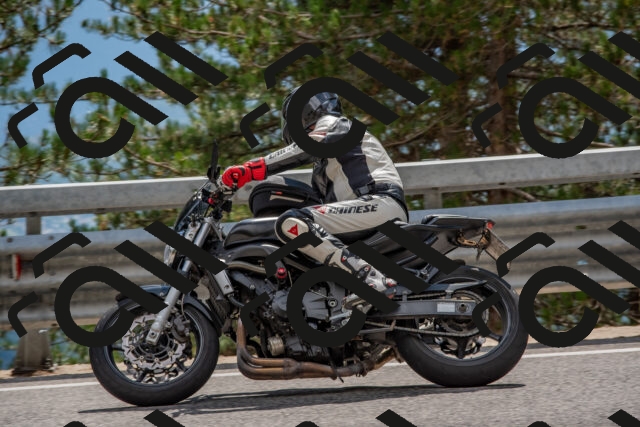 202508231500-DSC_7299_c4_