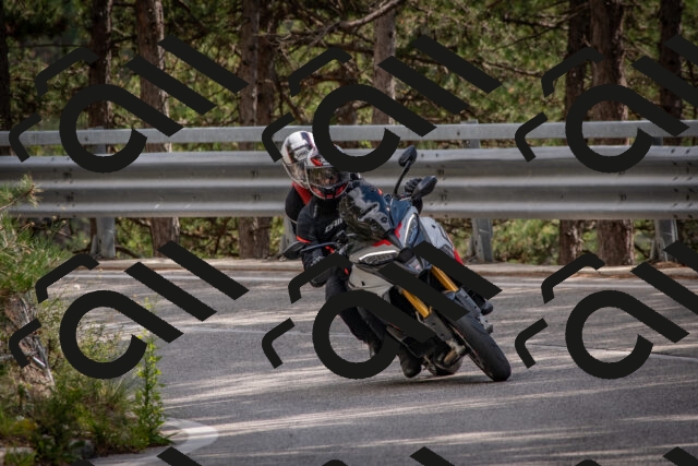 202508231501-DSC_7307_c4_