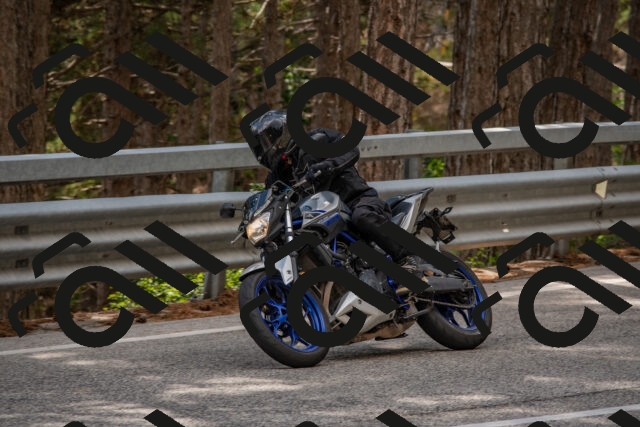 202508231508-DSC_7312_c4_