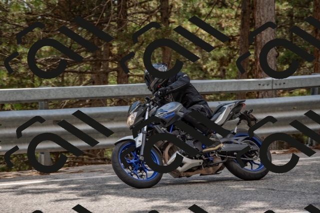 202508231508-DSC_7313_c4_