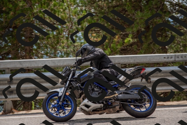 202508231508-DSC_7314_c4_