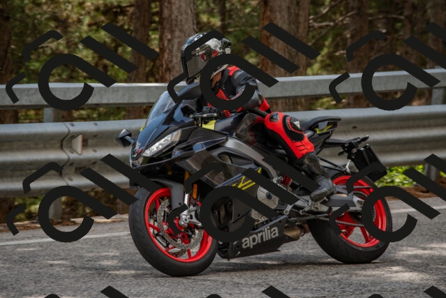 202508231508-DSC_7315_c4_