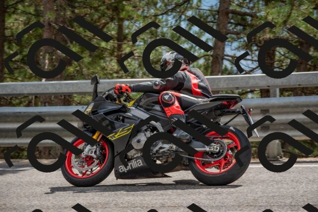 202508231508-DSC_7317_c4_