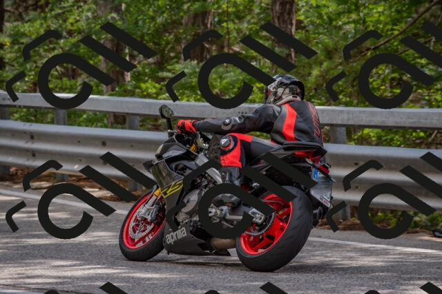 202508231508-DSC_7318_c4_