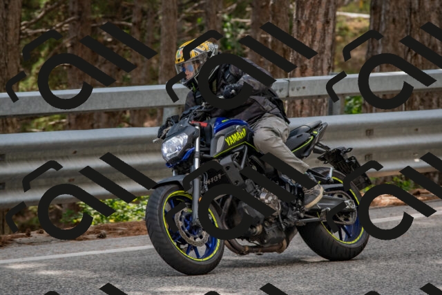 202508231508-DSC_7319_c4_