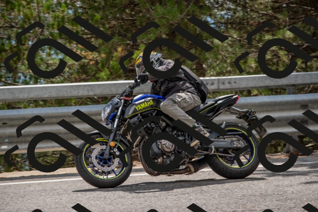 202508231508-DSC_7320_c4_