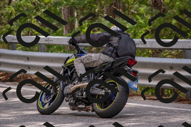 202508231508-DSC_7322_c4_