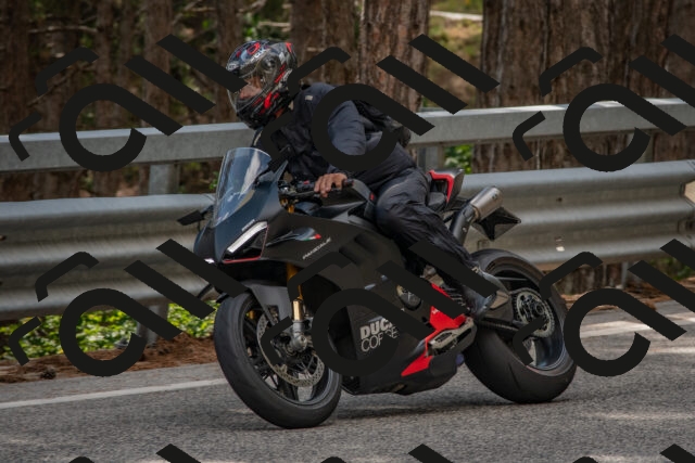 202508231509-DSC_7323_c4_