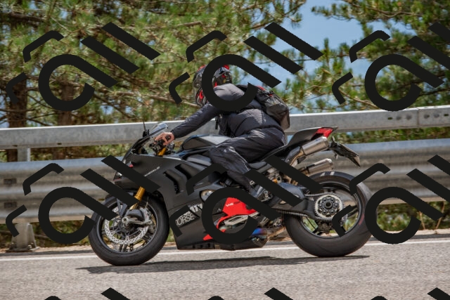 202508231509-DSC_7326_c4_