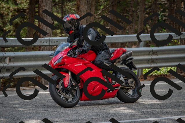 202508231509-DSC_7331_c4_