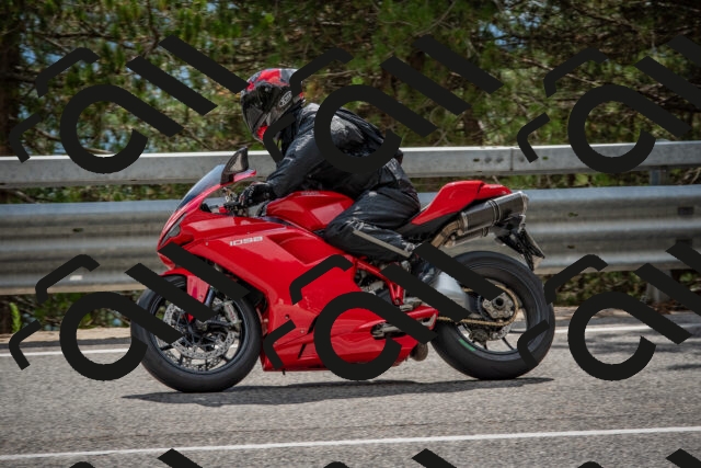 202508231509-DSC_7332_c4_