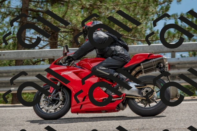 202508231509-DSC_7333_c4_