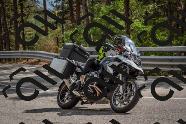 202508231511-DSC_7337_c4_