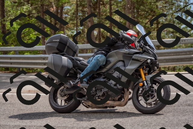 202508231511-DSC_7341_c4_