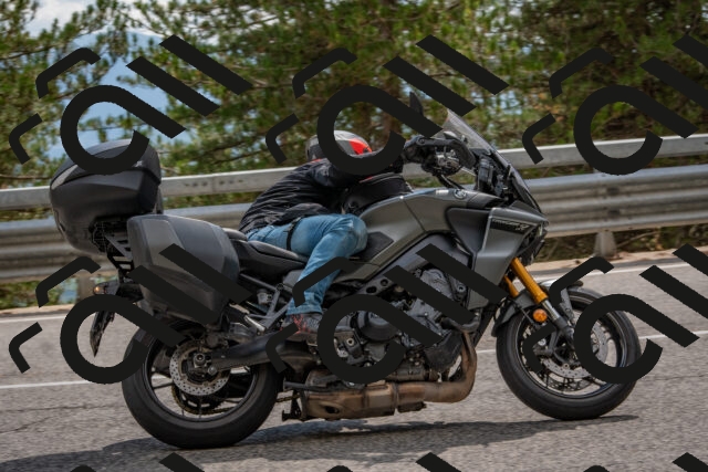 202508231511-DSC_7342_c4_