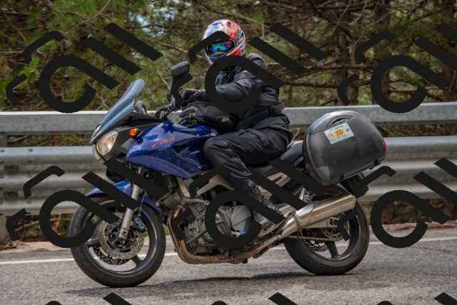 202508231512-DSC_7345_c4_