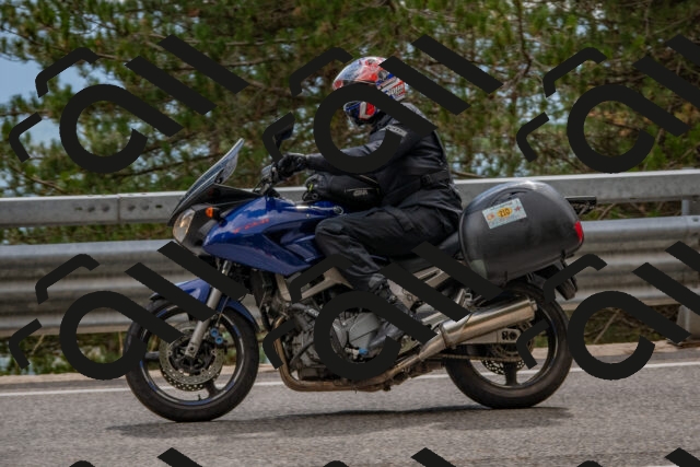 202508231512-DSC_7346_c4_