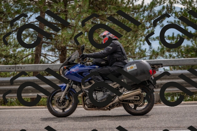 202508231512-DSC_7347_c4_