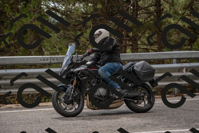 202508231512-DSC_7348_c4_