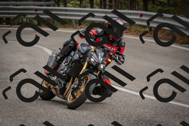 202508231517-DSC_7363_c4_