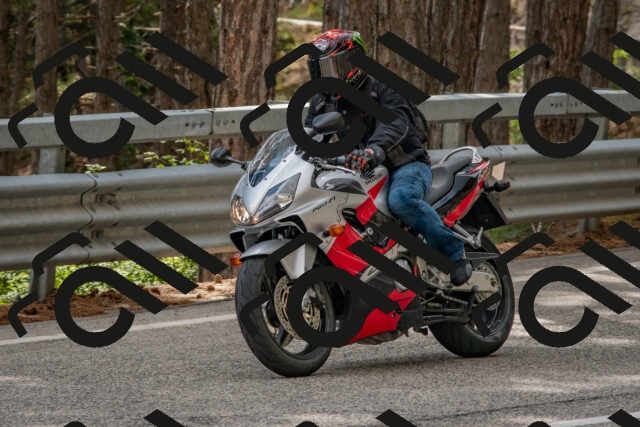 202508231524-DSC_7366_c4_