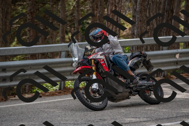 202508231524-DSC_7371_c4_