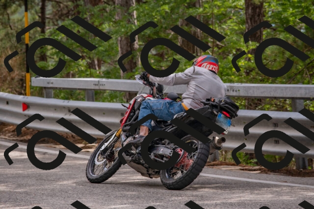 202508231524-DSC_7374_c4_