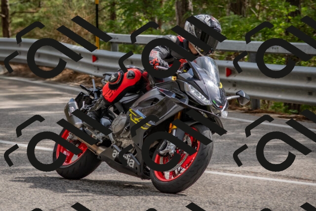 202508231525-DSC_7376_c4_