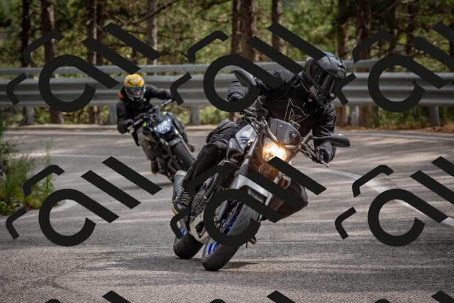 202508231526-DSC_7380_c4_