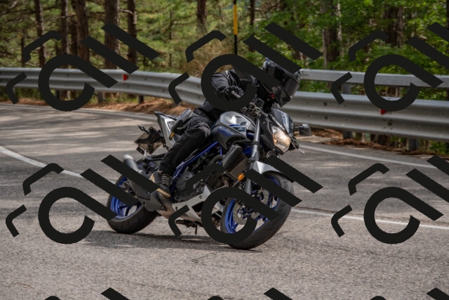 202508231526-DSC_7381_c4_