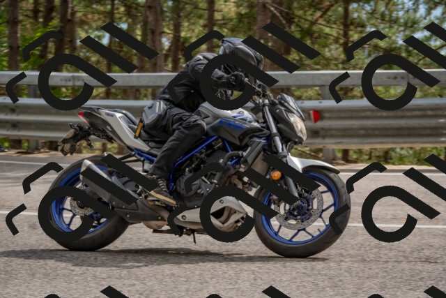 202508231526-DSC_7382_c4_