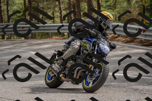 202508231526-DSC_7383_c4_