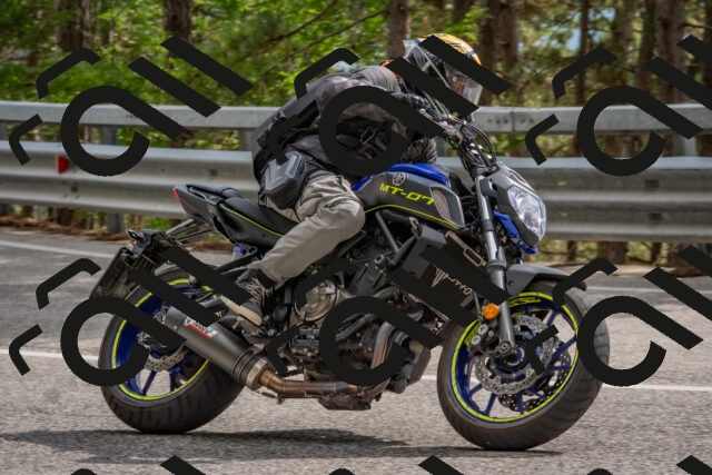 202508231526-DSC_7384_c4_