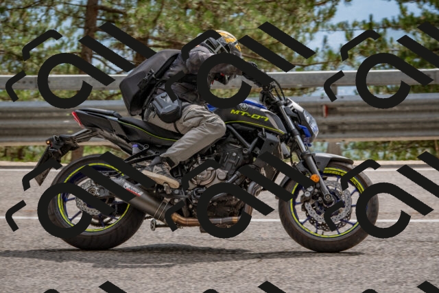 202508231526-DSC_7385_c4_