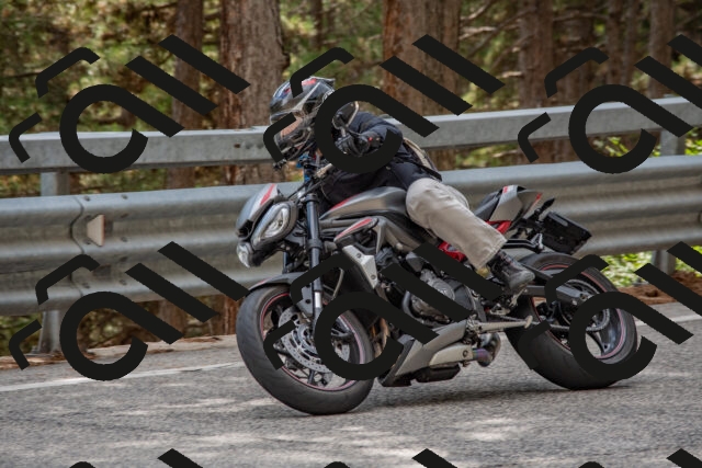 202508231527-DSC_7390_c4_