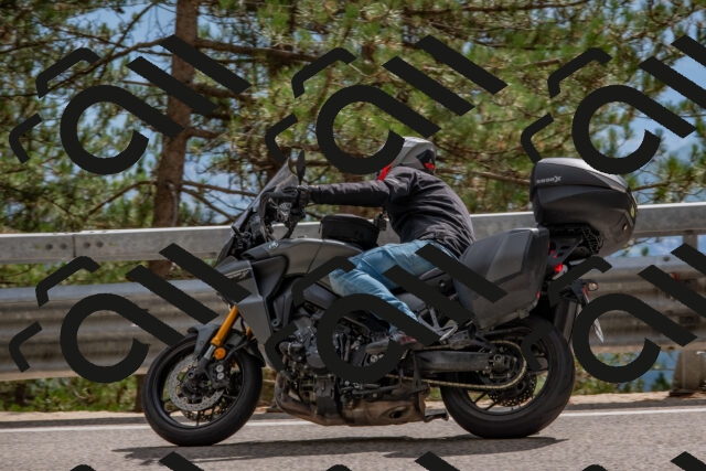 202508231528-DSC_7401_c4_