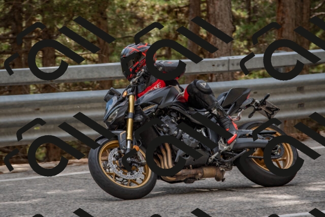 202508231528-DSC_7403_c4_