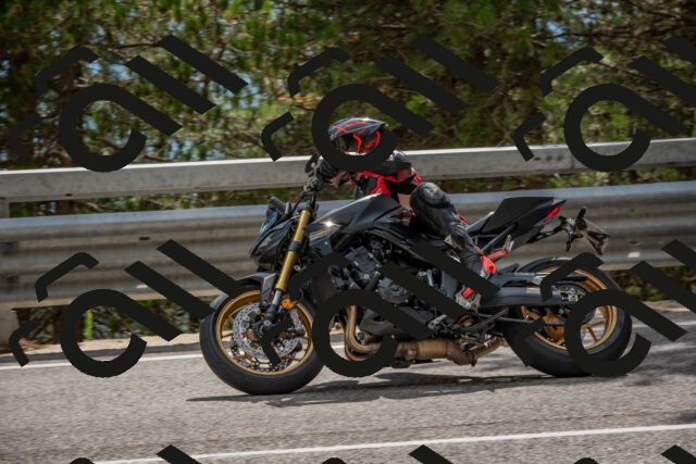 202508231528-DSC_7404_c4_