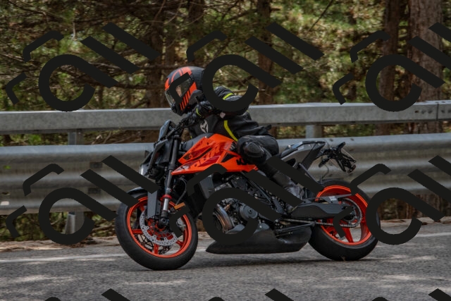 202508231528-DSC_7405_c4_