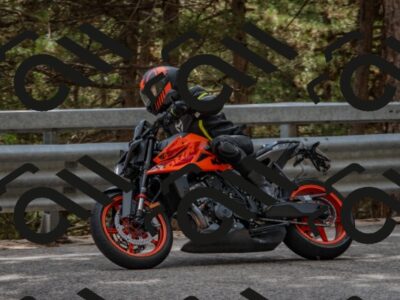 202508231528-DSC_7405_c4_