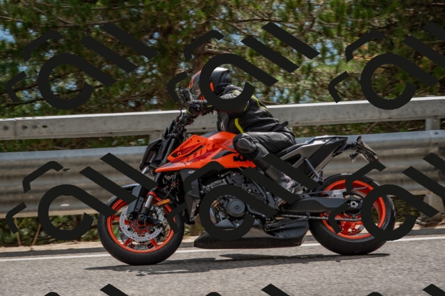 202508231528-DSC_7406_c4_