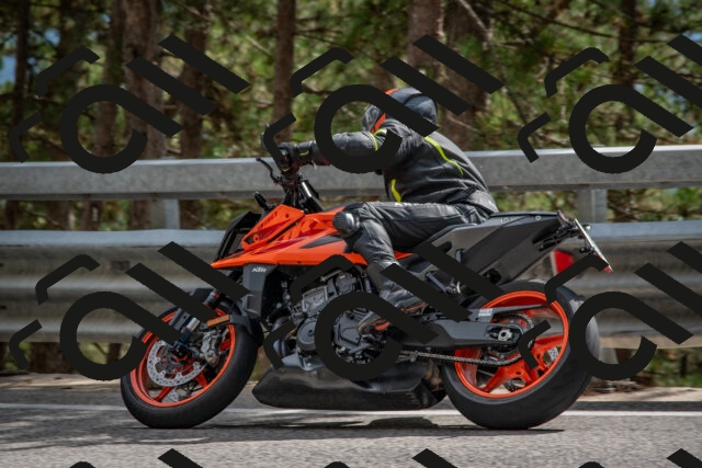 202508231528-DSC_7407_c4_