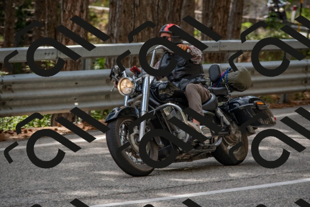 202508231529-DSC_7408_c4_