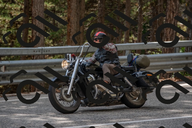 202508231529-DSC_7409_c4_