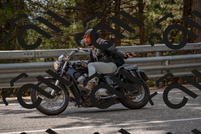 202508231529-DSC_7412_c4_