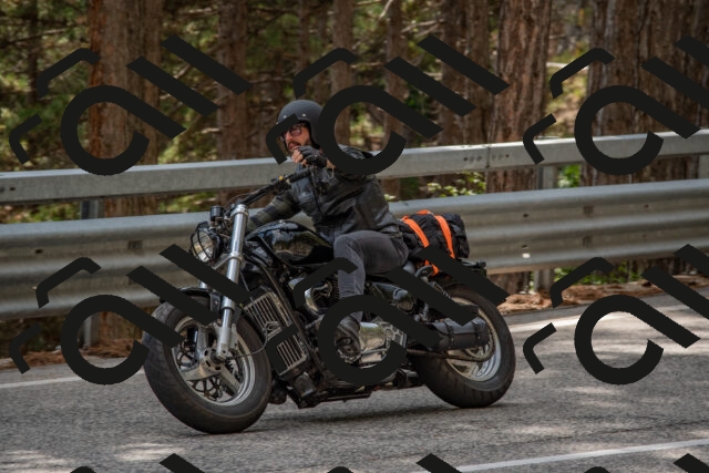 202508231529-DSC_7416_c4_