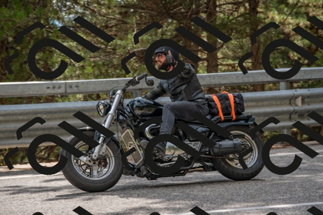 202508231529-DSC_7417_c4_